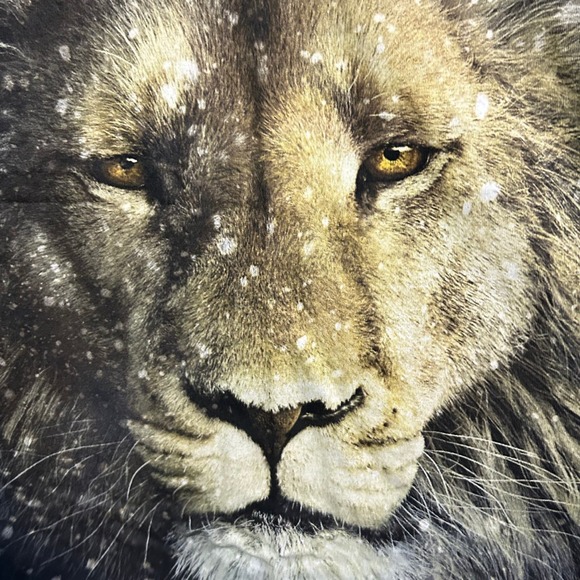 Vintage 2010 Chronicles Of Narnia Movie Promo Aslan T Shirt / Men’s Large * - Picture 2 of 4